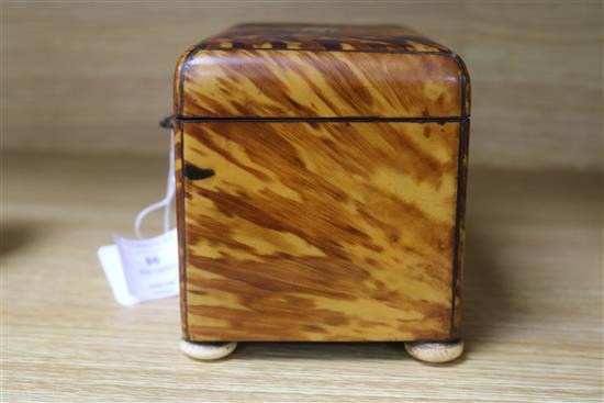 A tortoiseshell tea caddy